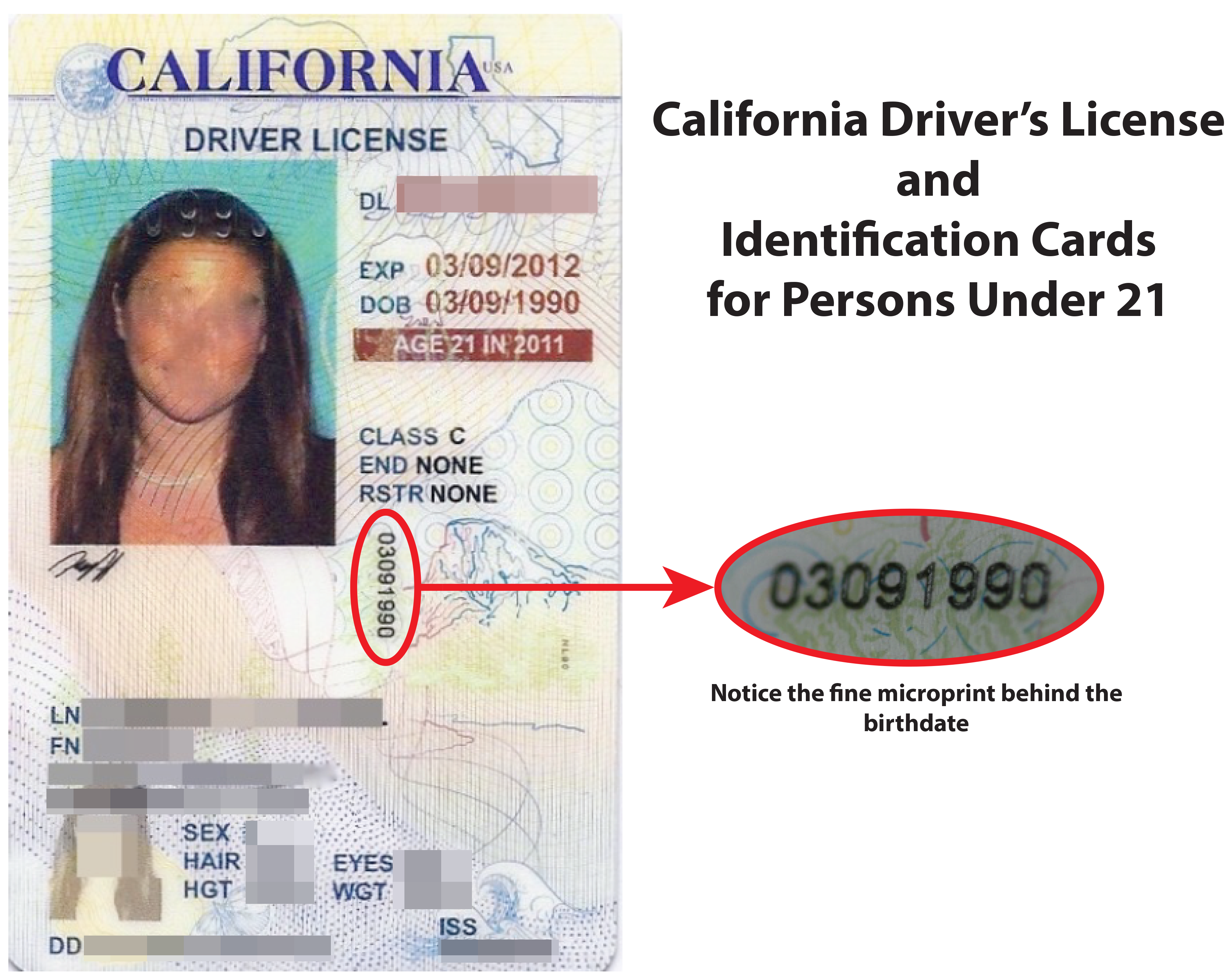 California drivers license format
